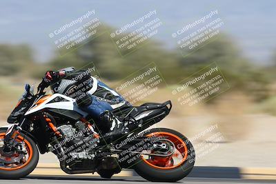 media/Oct-13-2025-Moto Forza (Mon) [[a66d839500]]/3-B Group/Session 4 Turn 4 Tree of Life/